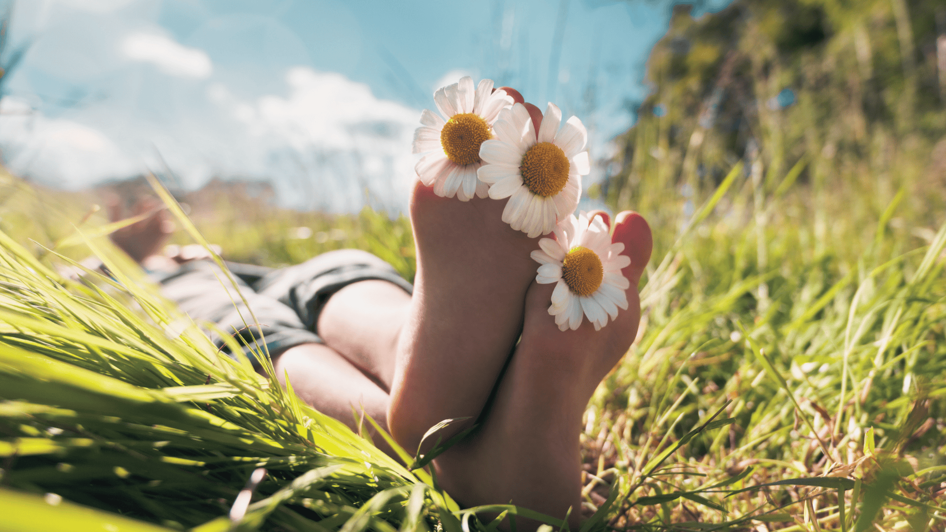 laying in a field in summer, daisies on my feet