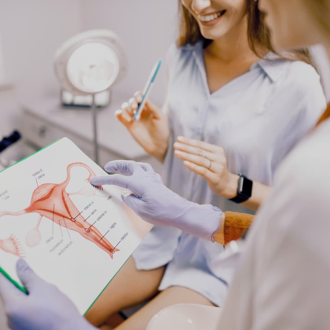Gynecologist showing a uterus diagram, highlighting why menstrual cycle coaches are needed for body literacy.
