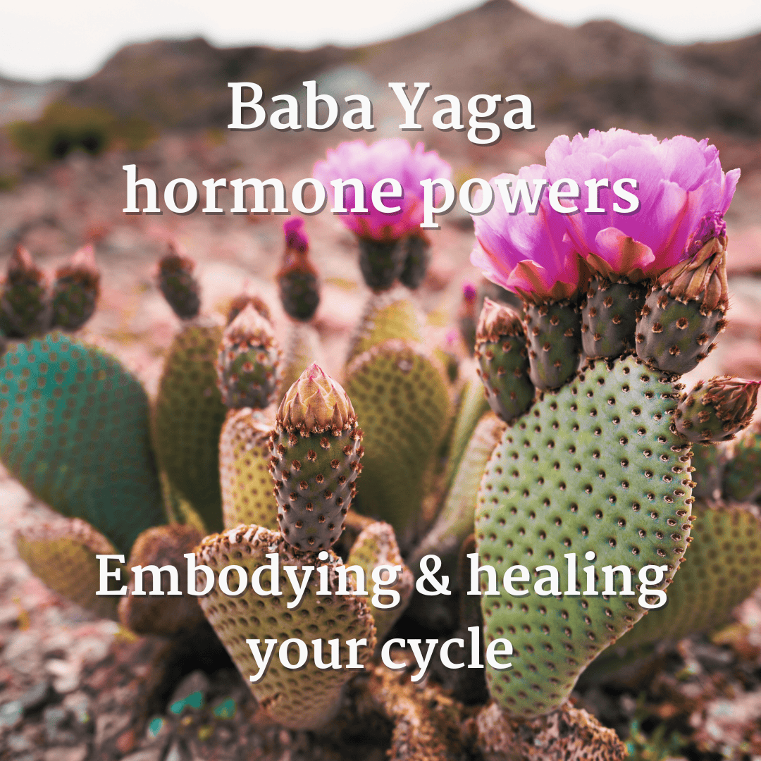 Embodying and healing your menstrual cycle