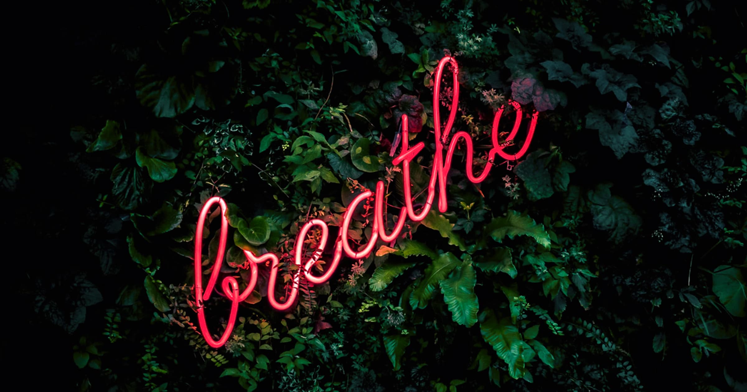 sign reading ‘breathe’ glowing pink against a green wall of plants, symbolizing ritual, pause, and self-connection in the Baba Yaga menstrual cycle coach app