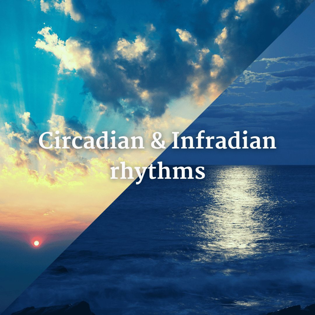 Circadian & infradian rhythms