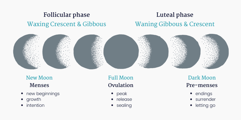 Moonphases & menstrual cycle phases