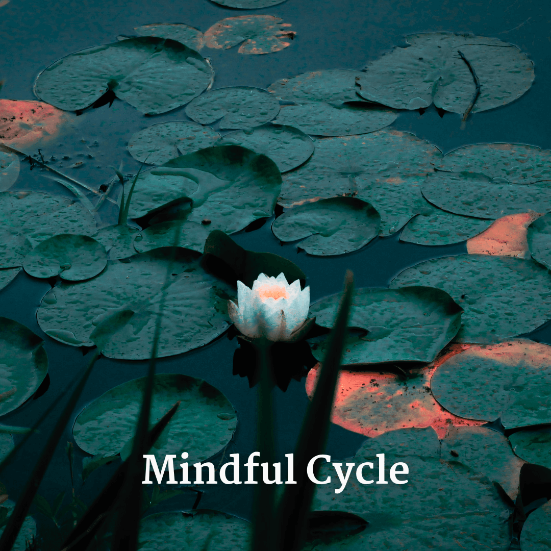 Peaceful pond and water lily for more mindfulness